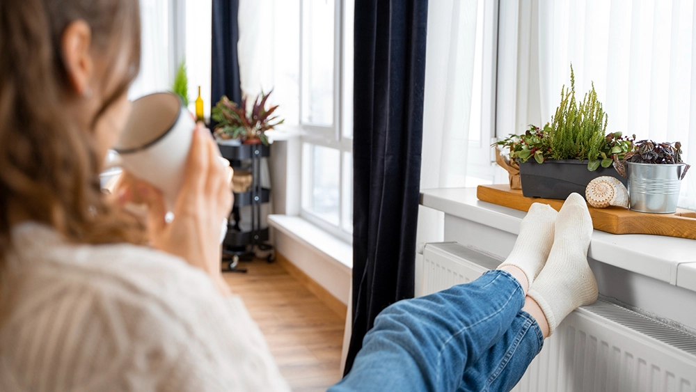 Avcılar Electrolux Servisi